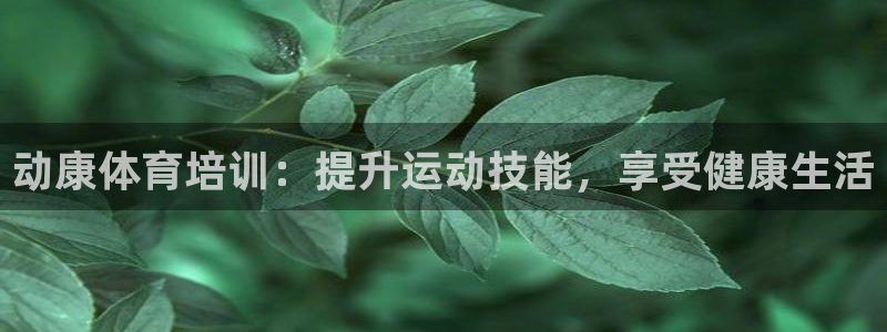 耀世娱乐注册资金多少：动康体育培训：提升运动技能，享