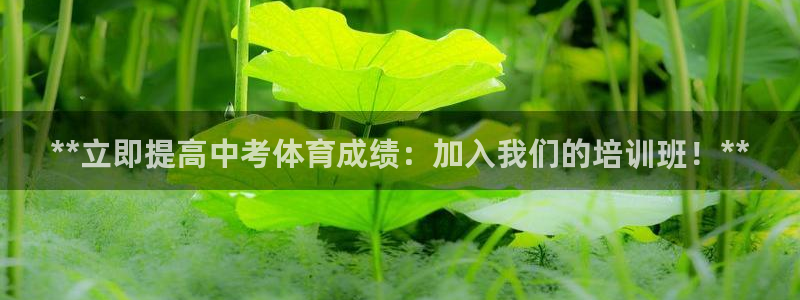 耀世集团王总简介：**立即提高中考体育成绩：加入我们