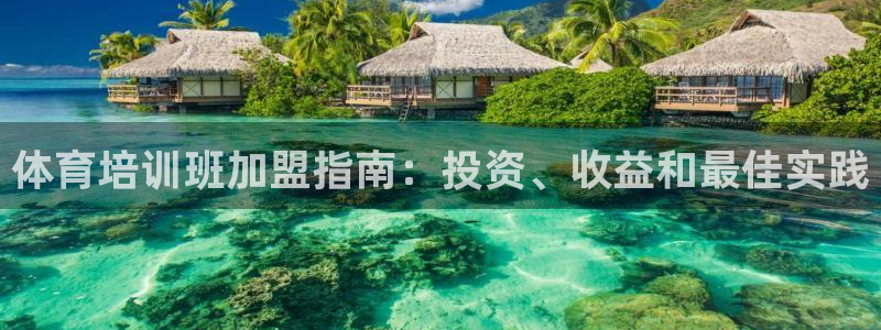 耀世集团总部在哪儿：体育培训班加盟指南：投资、收益和