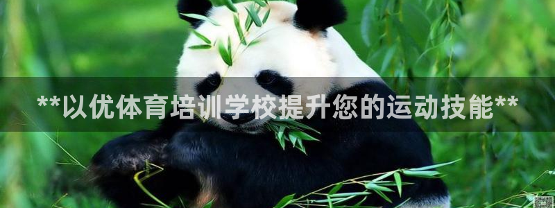 耀世集团耀宗：**以优体育培训学校提升您的运动技能*