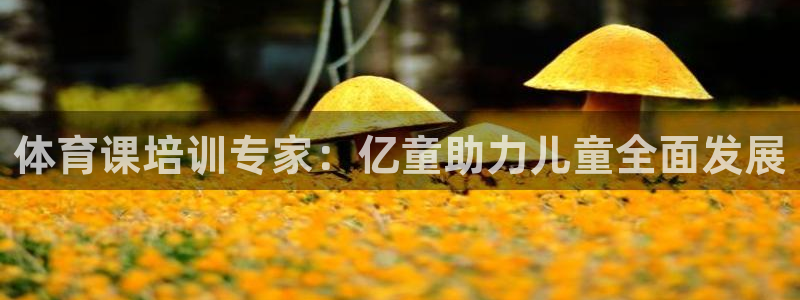 耀世登场的图片：体育课培训专家：亿童助力儿童全面发展