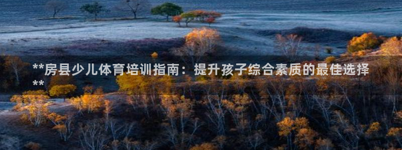 耀世娱乐脚本下载：**房县少儿体育培训指南：提升孩子