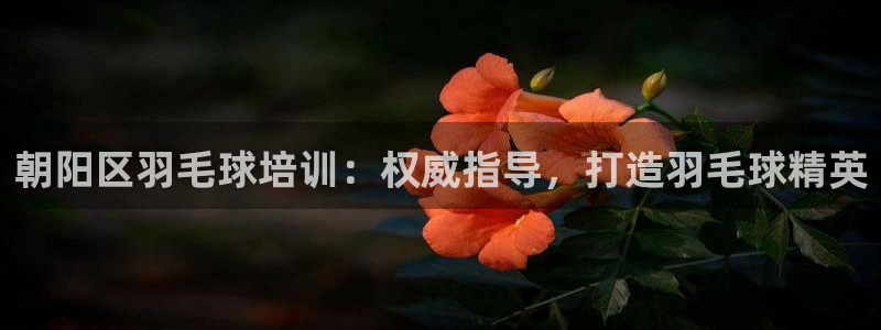 耀世娱乐网站官网：朝阳区羽毛球培训：权威指导，打造羽