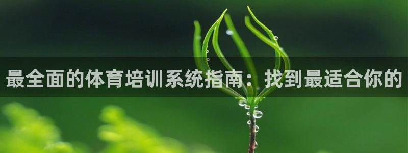 耀世平台代理多少钱一个月：最全面的体育培训系统指南：