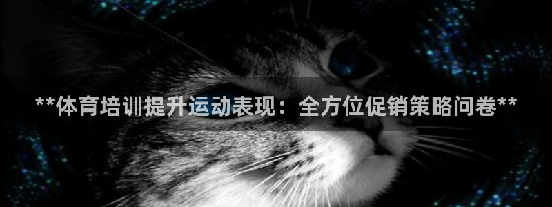 耀世微光mv：**体育培训提升运动表现：全方位促销策
