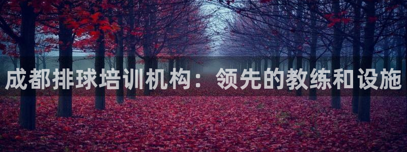 耀世娱乐在线登录官网入口手机版：成都排球培训机构：领