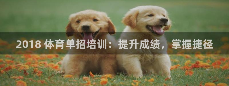 耀世娱乐平台注册登录不了：2018 体育单招培训：提