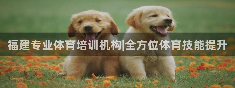 耀世娱乐平台官网登录入口网址：福建专业体育培训机构|