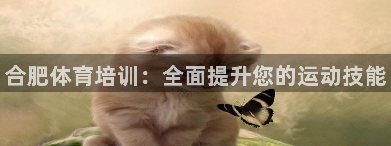 耀世国际集团：合肥体育培训：全面提升您的运动技能