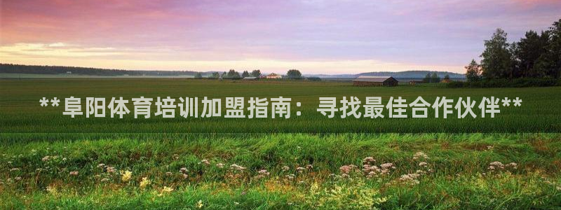 耀世娱乐辅助：**阜阳体育培训加盟指南：寻找最佳合作