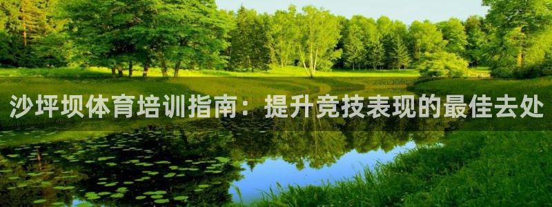 耀世娱乐注册登陆：沙坪坝体育培训指南：提升竞技表现的