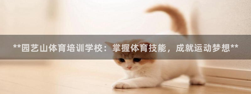 耀世是什么车：**园艺山体育培训学校：掌握体育技能，