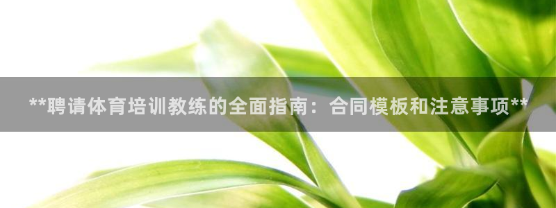 耀世娱乐怎么样：**聘请体育培训教练的全面指南：合同