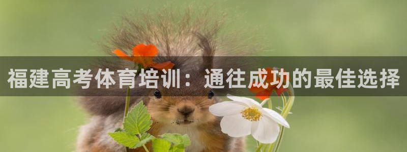 耀世集团总部在哪儿：福建高考体育培训：通往成功的最佳