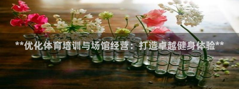 耀世集团商业联盟罗文斌主任：**优化体育培训与场馆经
