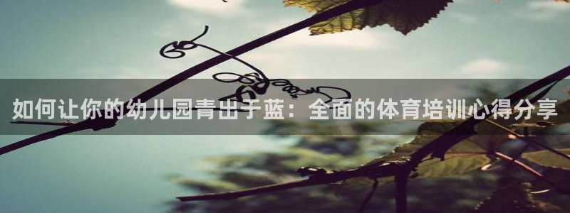 耀世辉煌：如何让你的幼儿园青出于蓝：全面的体育培训心
