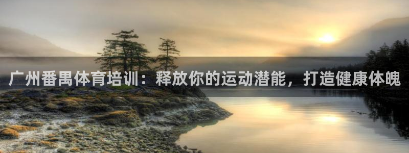 耀世娱乐挂机软件：广州番禺体育培训：释放你的运动潜能