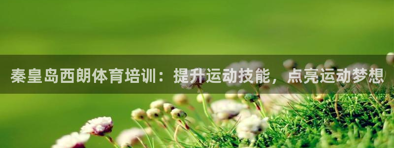 耀世平台李 411O31 耀世：秦皇岛西朗体育培训：