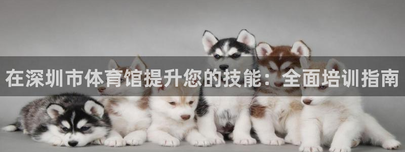 耀世娱乐注册官网账号：在深圳市体育馆提升您的技能：全