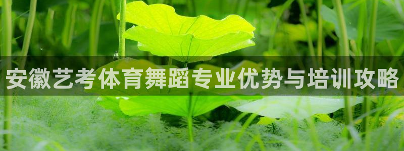 耀世娱乐注册账号：安徽艺考体育舞蹈专业优势与培训攻略
