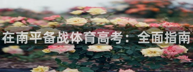 耀世平台总代理是谁：在南平备战体育高考：全面指南