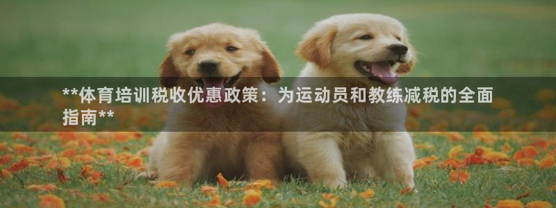 耀世来袭什么意思：**体育培训税收优惠政策：为运动员