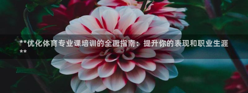 耀世娱乐客服怎么样：**优化体育专业课培训的全面指南