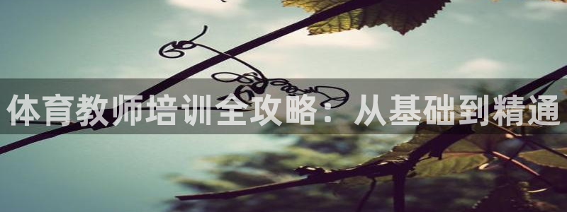 耀世开放什么意思：体育教师培训全攻略：从基础到精通