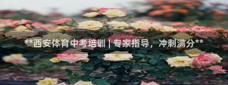 耀世来袭什么意思：**西安体育中考培训 | 专家指导