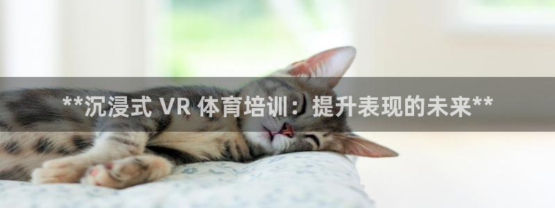 耀世微光简谱：**沉浸式 VR 体育培训：提升表现的