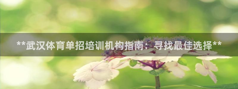 耀世启幕：**武汉体育单招培训机构指南：寻找最佳选择