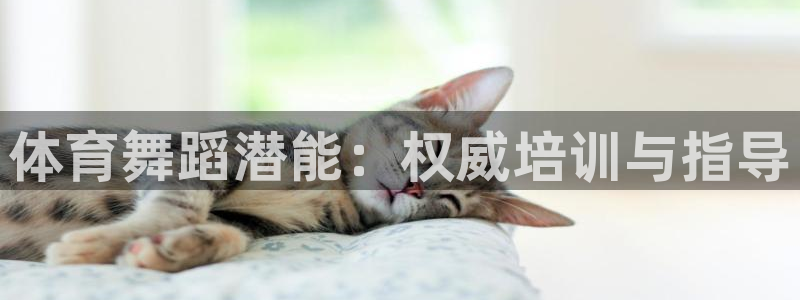 耀世娱乐是个什么平台：体育舞蹈潜能：权威培训与指导
