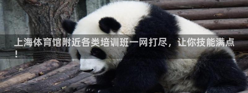 耀世平台寇 5O6917 耀世：上海体育馆附近各类培