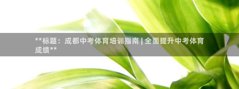 耀世天下的网名是什么意思啊：**标题：成都中考体育培