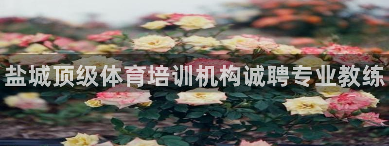 耀世娱乐黑钱吗：盐城顶级体育培训机构诚聘专业教练