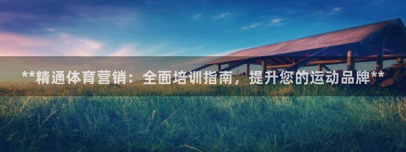 耀世娱乐怎么注册不了：**精通体育营销：全面培训指南