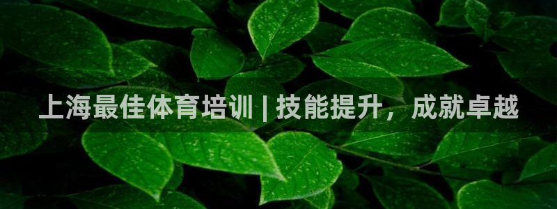 耀世娱乐官网注册账号：上海最佳体育培训 | 技能提升