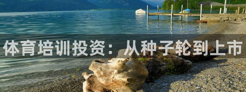 耀世娱乐注册官网：体育培训投资：从种子轮到上市