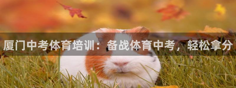耀世国际集团是国企吗还是央企：厦门中考体育培训：备战