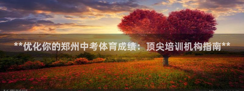 耀世平台官方网站：**优化你的郑州中考体育成绩：顶尖