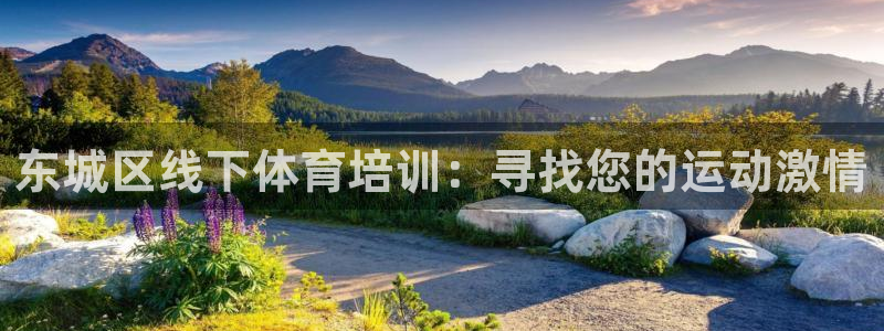 耀世平台总代理：东城区线下体育培训：寻找您的运动激情