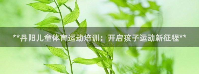 耀世集团的创始人是谁：**丹阳儿童体育运动培训：开启