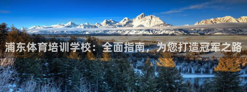 耀世微光歌曲下载：浦东体育培训学校：全面指南，为您打