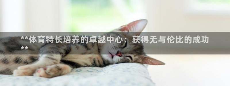 耀世平台注册步骤图片：**体育特长培养的卓越中心：获