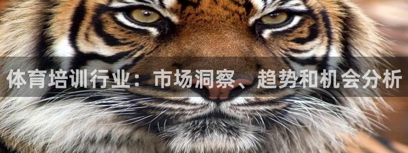 耀世娱乐登陆：体育培训行业：市场洞察、趋势和机会分析