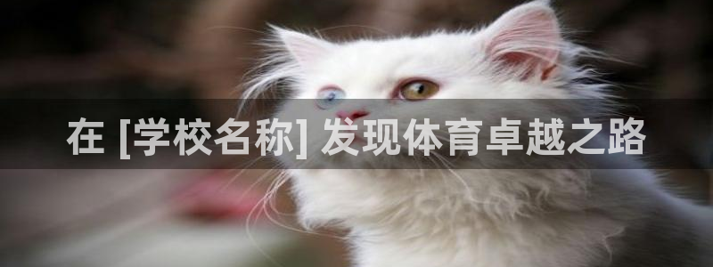 耀世娱乐好不好：在 [学校名称] 发现体育卓越之路