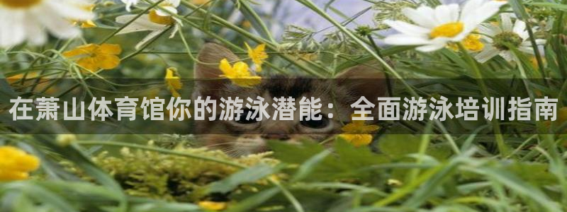 耀世平台登陆：在萧山体育馆你的游泳潜能：全面游泳培训