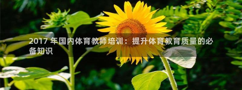 耀世娱乐软件下载：2017 年国内体育教师培训：提升