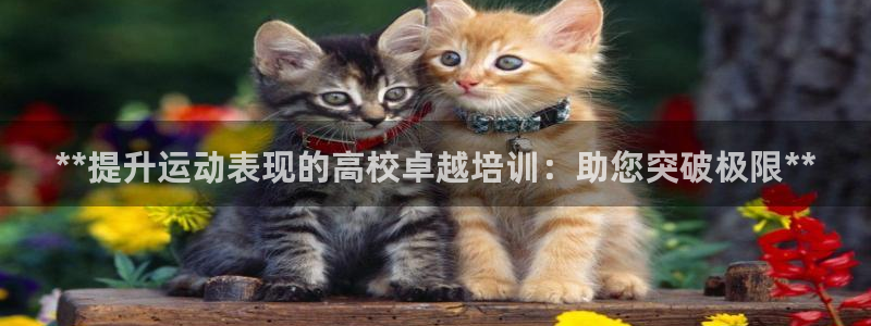 耀世挑战第三关怎么过：**提升运动表现的高校卓越培训