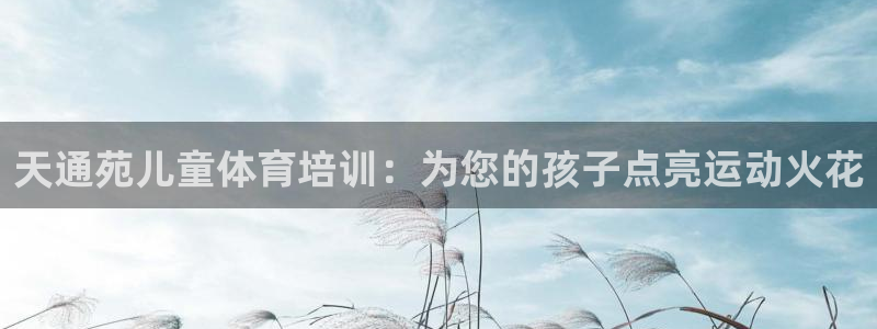 耀世娱乐登陆官网入口：天通苑儿童体育培训：为您的孩子